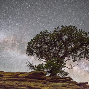 欧美成人做爱视频
